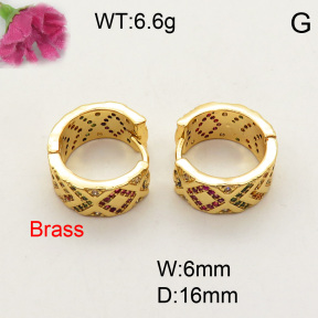 Fashion Brass Earrings  F3E401513bhva-L017