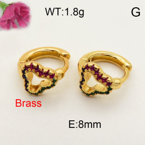 Fashion Brass Earrings  F3E401516bbov-J40