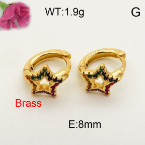 Fashion Brass Earrings  F3E401521bbov-J40