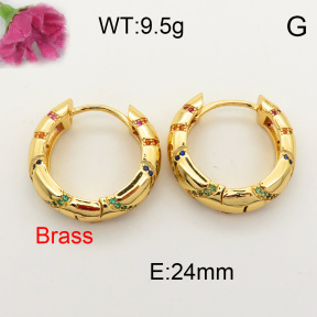 Fashion Brass Earrings  F3E401527vhov-J40