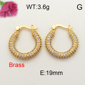 Fashion Brass Earrings  F3E401528vhmv-J40