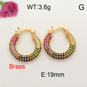 Fashion Brass Earrings  F3E401529vhov-J40