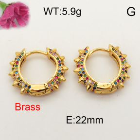 Fashion Brass Earrings  F3E401531vhov-J40