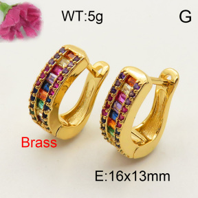 Fashion Brass Earrings  F3E401538vhmv-J40