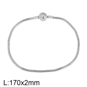 SS Bracelet  For charms DIY, width 2mm, length17cm  6B2001553bbno-691