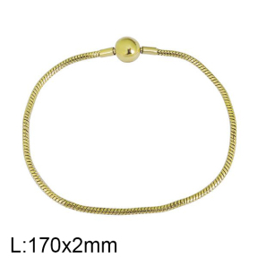 SS Bracelet  For charms DIY, width 2mm, length17cm  6B2001558bhbl-691