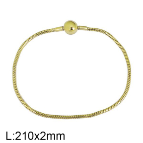 SS Bracelet  For charms DIY, width 2mm, length 21cm  6B2001562bhbl-691