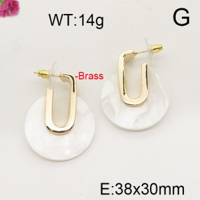 Fashion Brass Earrings  F6E300902bhin-J92