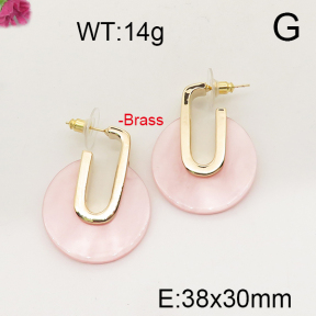 Fashion Brass Earrings  F6E300903bhin-J92