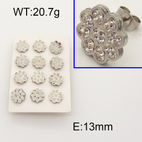 SS Earrings  3E4001309ajvb-377