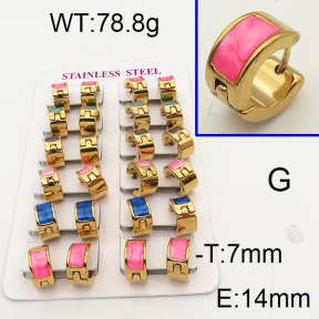 SS Earrings  6E3001806aklm-450