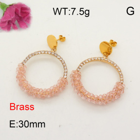 Fashion Brass Earrings  F3E401558vhmv-J48