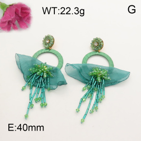 Fashion Earrings  F3E401569bhil-K53
