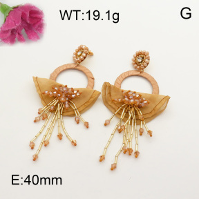 Fashion Earrings  F3E401571bhil-K53