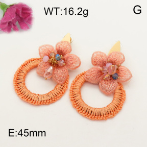 Fashion Earrings  F3E401577vhhl-K53