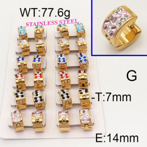 SS Earrings  6E4002533aklm-450