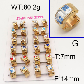 SS Earrings  6E4002534aklm-450