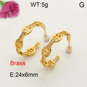 Fashion Brass Earrings  F3E401595vbnb-L017