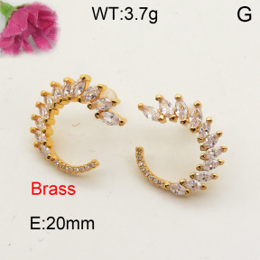 Fashion Brass Earrings  F3E401596bbov-L017