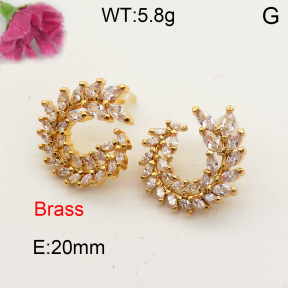 Fashion Brass Earrings  F3E401597bhia-L017