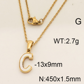 SS Necklace  6N3000604aakl-679