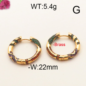 Fashion Brass Earrings  F6E402456vhov-J40