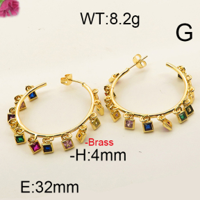 Fashion Brass Earrings  F6E402459aija-J111