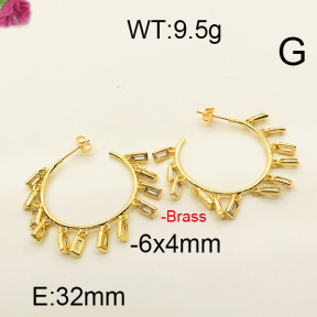 Fashion Brass Earrings  F6E402460aivb-J111