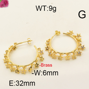 Fashion Brass Earrings  F6E402461aija-J111