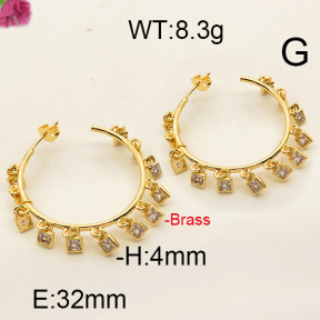Fashion Brass Earrings  F6E402462aivb-J111