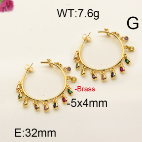 Fashion Brass Earrings  F6E402465aija-J111