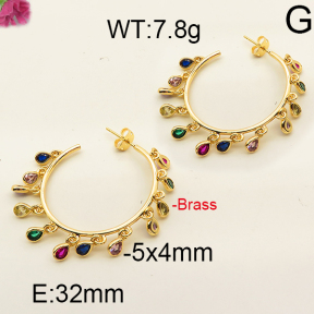 Fashion Brass Earrings  F6E402466aija-J111