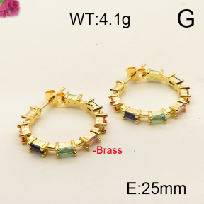 Fashion Brass Earrings  F6E402470aivb-J111