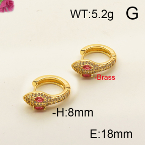 Fashion Brass Earrings  F6E402475bhia-J111