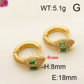 Fashion Brass Earrings  F6E402476bhia-J111