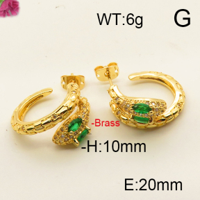 Fashion Brass Earrings  F6E402478bhia-J111