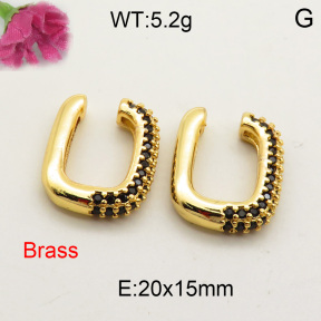 Fashion Brass Earrings  F3E401627bbml-L002