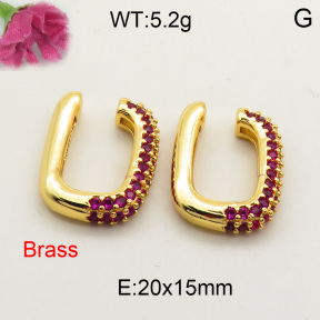 Fashion Brass Earrings  F3E401629bbml-L002