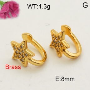 Fashion Brass Earrings  F3E401637baka-L002