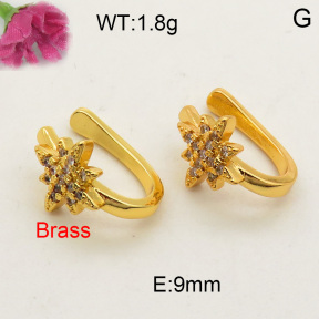 Fashion Brass Earrings  F3E401653baka-L002