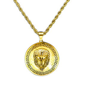 Stainless 304, Zirconia Greek Key Lion Coin Diamond Pendants  With Rope Chain Necklace,Golden Plating,Diameter:45mm, Chains :700mm,About:67g/pc,1 pc per package,HHP00155biib-360