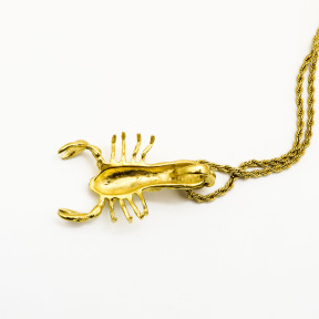 Stainless 304 Scorpion Pendants With Rope Chains Necklace,Golden Plating,L:69mm W:40mm, Chains :700mm,About:54g/pc,1 pc per package,HHP00174vihb-360