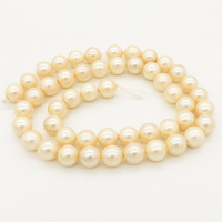 Shell Pearl Beads,Round,Beige,Dyed,6mm,Hole:0.5mm,about 63pcs/strand,about 22 g/strand,5 strands/package,15"(38cm),XBSP00007vbnb-L001