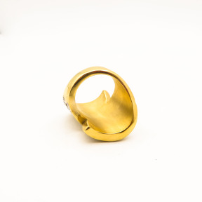 316L Stainless Steel and Zirconia Hairy leaf ring,Gold plating,Size 7,about 17g/pc,1 pc/package,HHP00426vhov-360