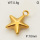 304 Stainless Steel Pendant & Charms,Solid star,Polished,Vacuum plating gold,10mm,about 8.0g/pc,5 pcs/package,PP4000356aaho-900