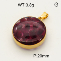 304 Stainless Steel Garnet Pendants,Polished,Flat Round,Vacuum plating 18K gold,20mm,about 3.8 g/pc,1 pc/package,3P4000476aako-Y008