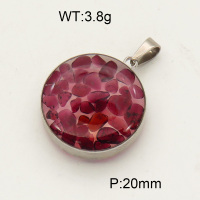 304 Stainless Steel Garnet Pendants,Polished,Flat Round,True color,20mm,about 3.8 g/pc,1 pc/package,3P4000477aakl-Y008