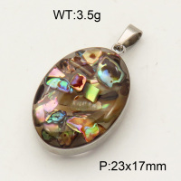 304 Stainless Steel Abalone Shell Pendants,Polished,Flat Oval,True color,23x17mm,about 3.5 g/pc,1 pc/package,3P4000491aakl-Y008