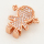 Brass Micro Pave Cubic Zirconia Slide Charms,Gril,Rose Golden,15x15mm,Hole:2x10mm,about 2 g/pc,5 pcs/package,XFB00097baka-L002