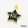 Brass Enamel Pendants,Star,Long-lasting plated,Gold,18mm,Hole:4mm,about 1.93g/pc,5 pcs/package,XFPC02797aahn-G030